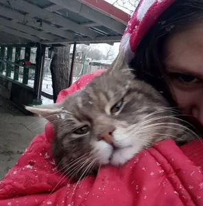 my cat od MercySoeder  2 snímek