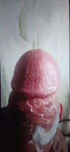 Bass12342a Public 사진 5