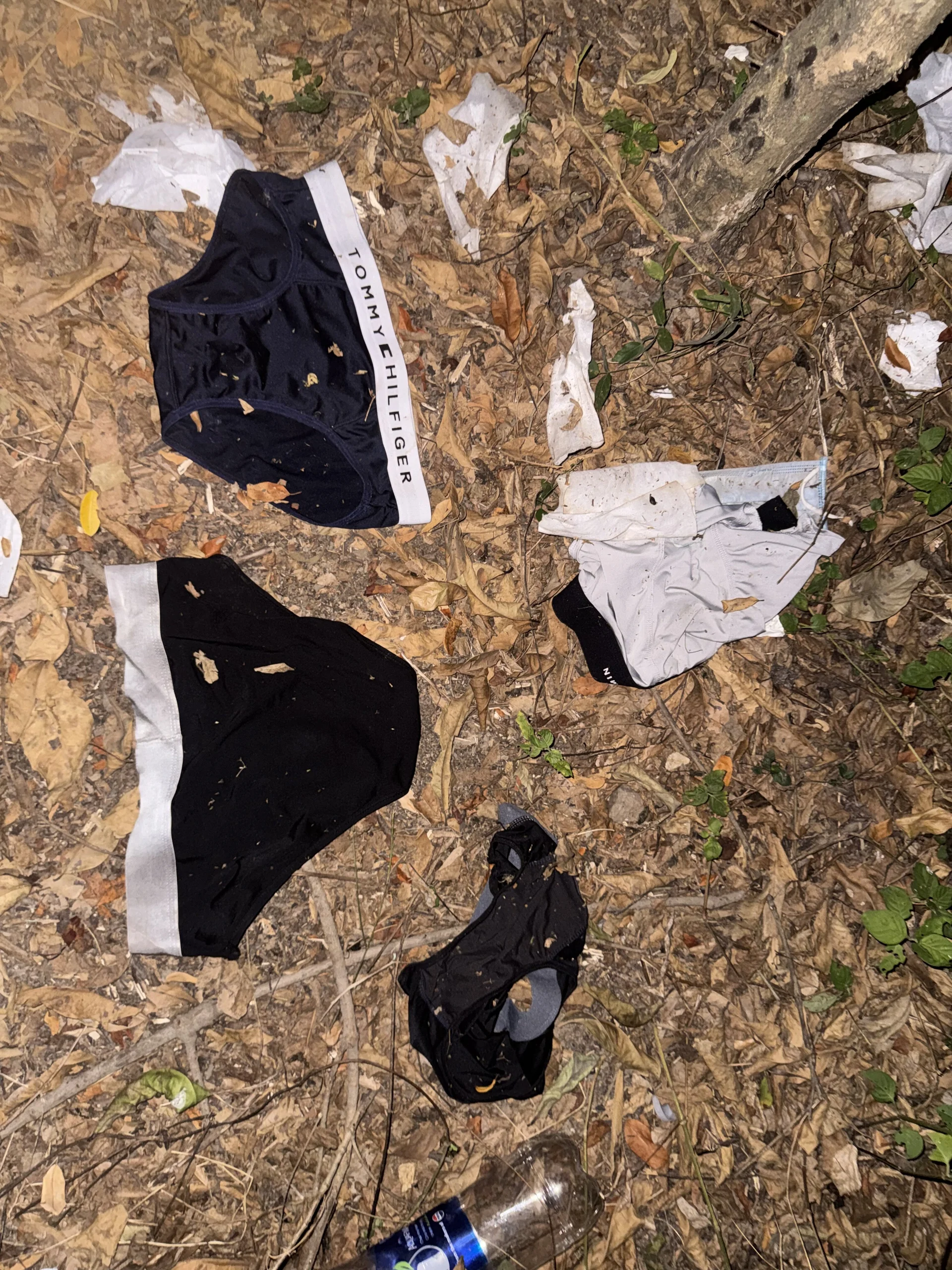 anhkiet_huangのOutdoorの枚の写真