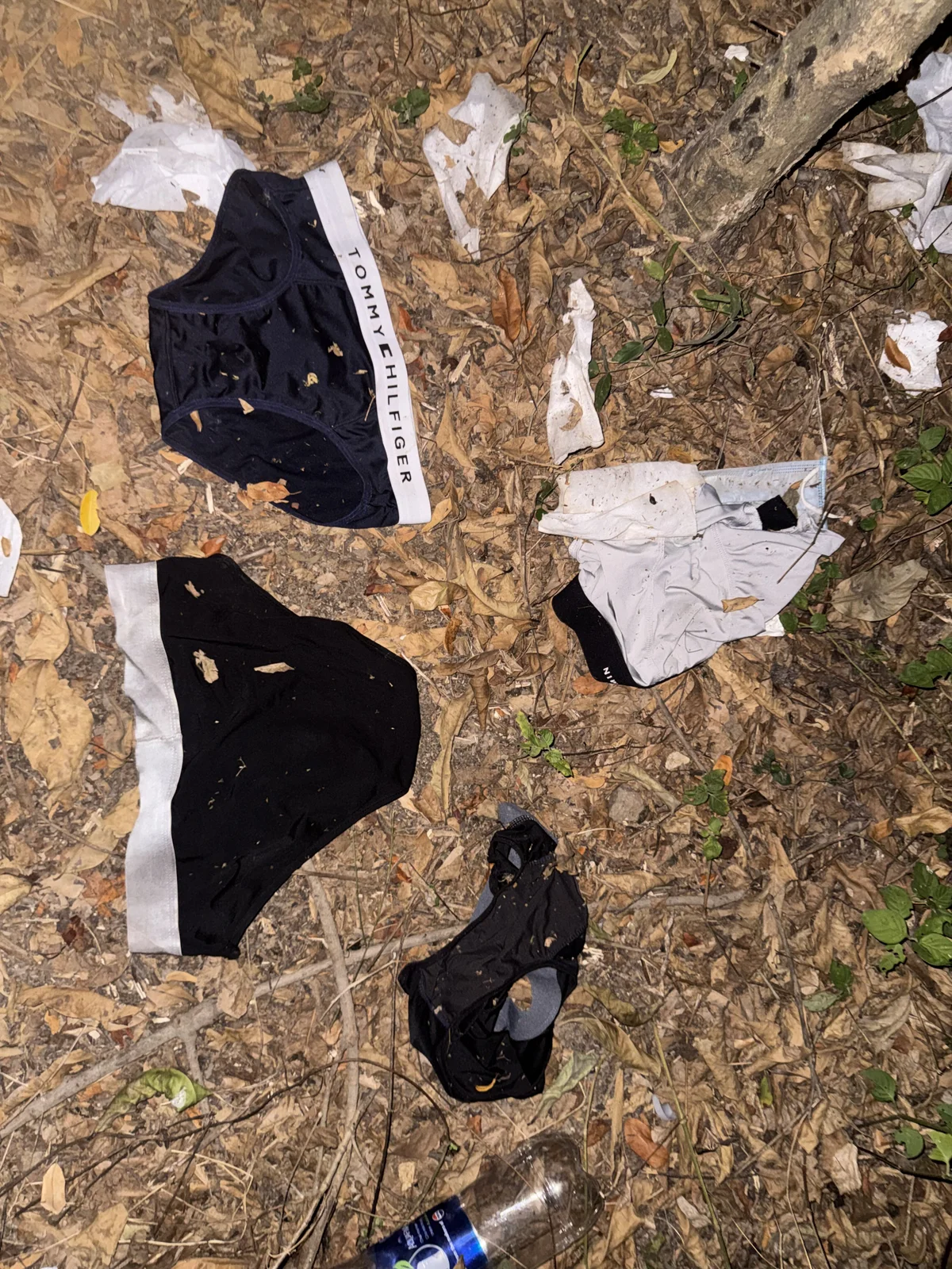 anhkiet_huangさんのトレンドな 4375枚の写真