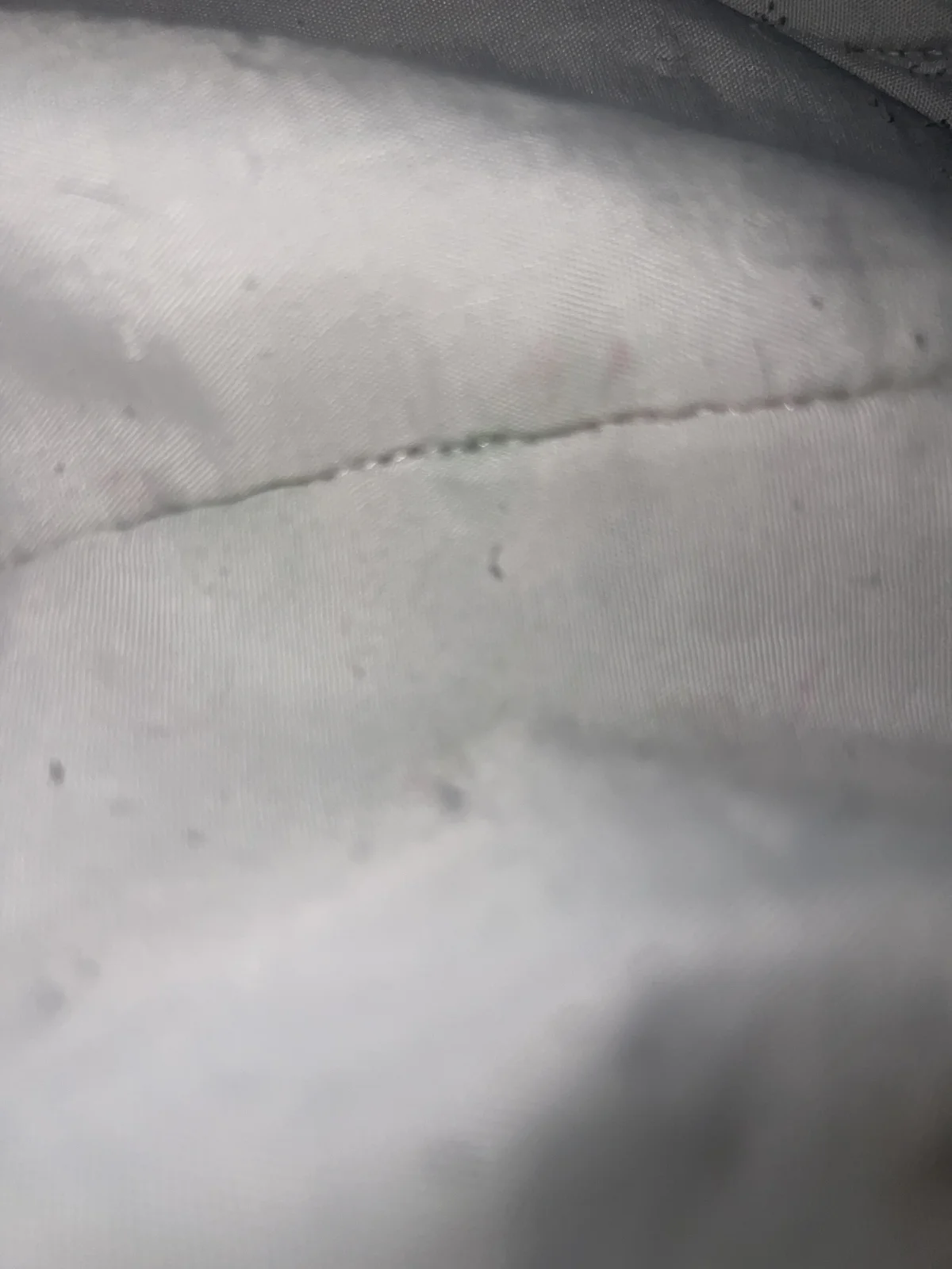 boladeouro126 Trendaava kuva 2677