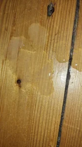 Public od diyMasturbator  snímek