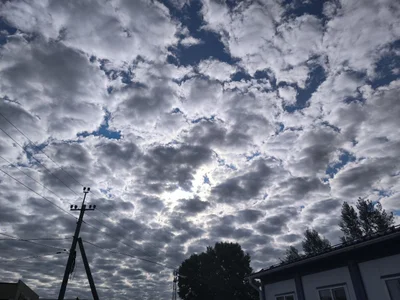 Milena_Milyan kullanıcısının Nature’s Beauty 🌺 albümü -  5 fotoğraf