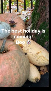 🎃🎃🎃 de MaryMurray  3 Imagens