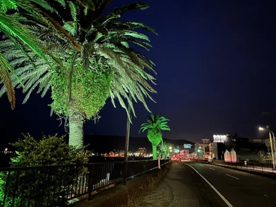 Senzuri_kun night view of orange beach (オレンジビーチ夜景) Immagine 