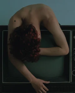 warm_sac artistic self portraits صورة واحدة|warm_sac artistic self portraits صورتان|warm_sac artistic self portraits  5 صور|warm_sac artistic self portraits  5 صورة