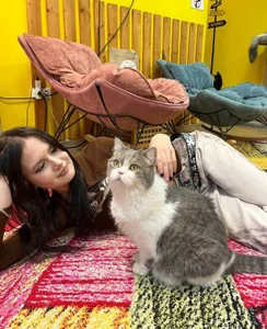 Zdjęcia KittenZena Public:  3