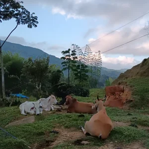 Zdjęcia dulce_doll1 just for you🩷:  6