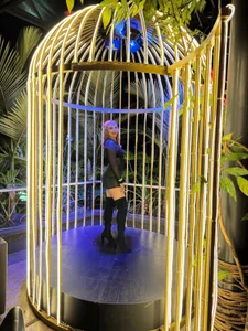 MIIRANDAHOTPublic Bild 6