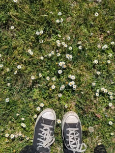 Rin_Wolfy lovely nature *_____* صورة واحدة|Rin_Wolfy lovely nature *_____* صورتان|Rin_Wolfy lovely nature *_____*  4 صور|Rin_Wolfy lovely nature *_____*  4 صورة