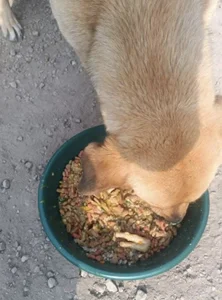 Babba_yagga Actions speak louder than good intentions. Pic 4