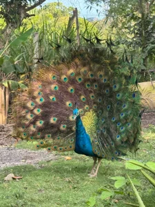 TomLondon_ Welcome to paradise...  2টি ছবি