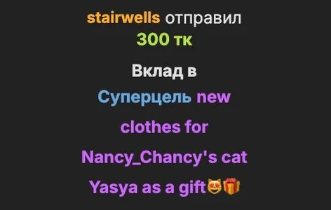elsawhere 🤍THANK YOU🤍 epic goal: new clothes for Nancy_Chancy's cat Yasya as a gift😻🎁 Foto 3