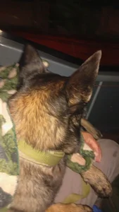 Zdjęcia xjkedv Jui: 