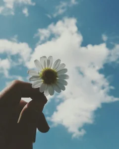 Miner09 💐 Billede 2