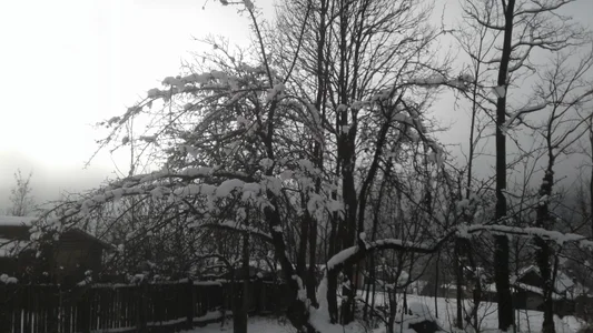 ExquisiteMature Winter Sun Poză 7