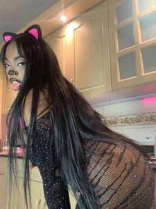 ReinaMiah Good kitty wants to be pet . fénykép