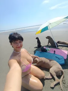 kuromiiiiii Beach and dogs Life Bilde