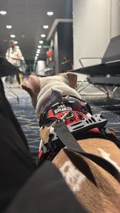 moon_lilith Public Foto 7