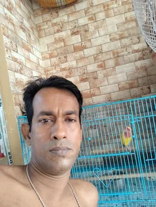 Public