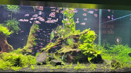 kiana_cream In my break 🎇 Pic 4