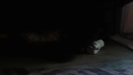 ExquisiteMature The monster under my bed Poză 2