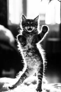 Audrey_Aura KISA Foto 4