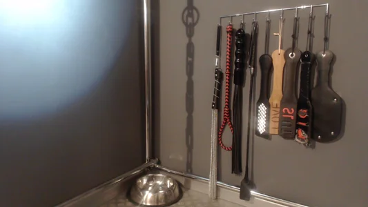 Kinky_Butterfly My toys Pic