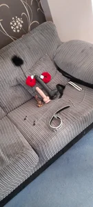 HousewifeMilf_Courtney Goodies Immagine  2