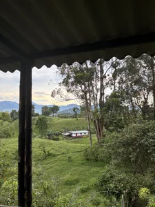 SarahCastro1_の✨🍓A little about me ✨🍓の 9枚の写真