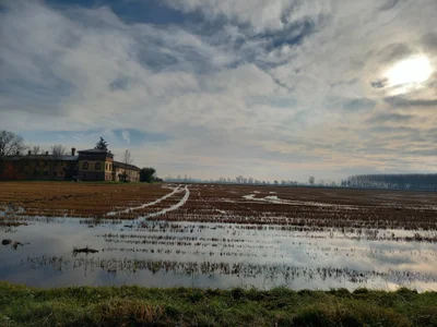 alessex24 Public รูป  2