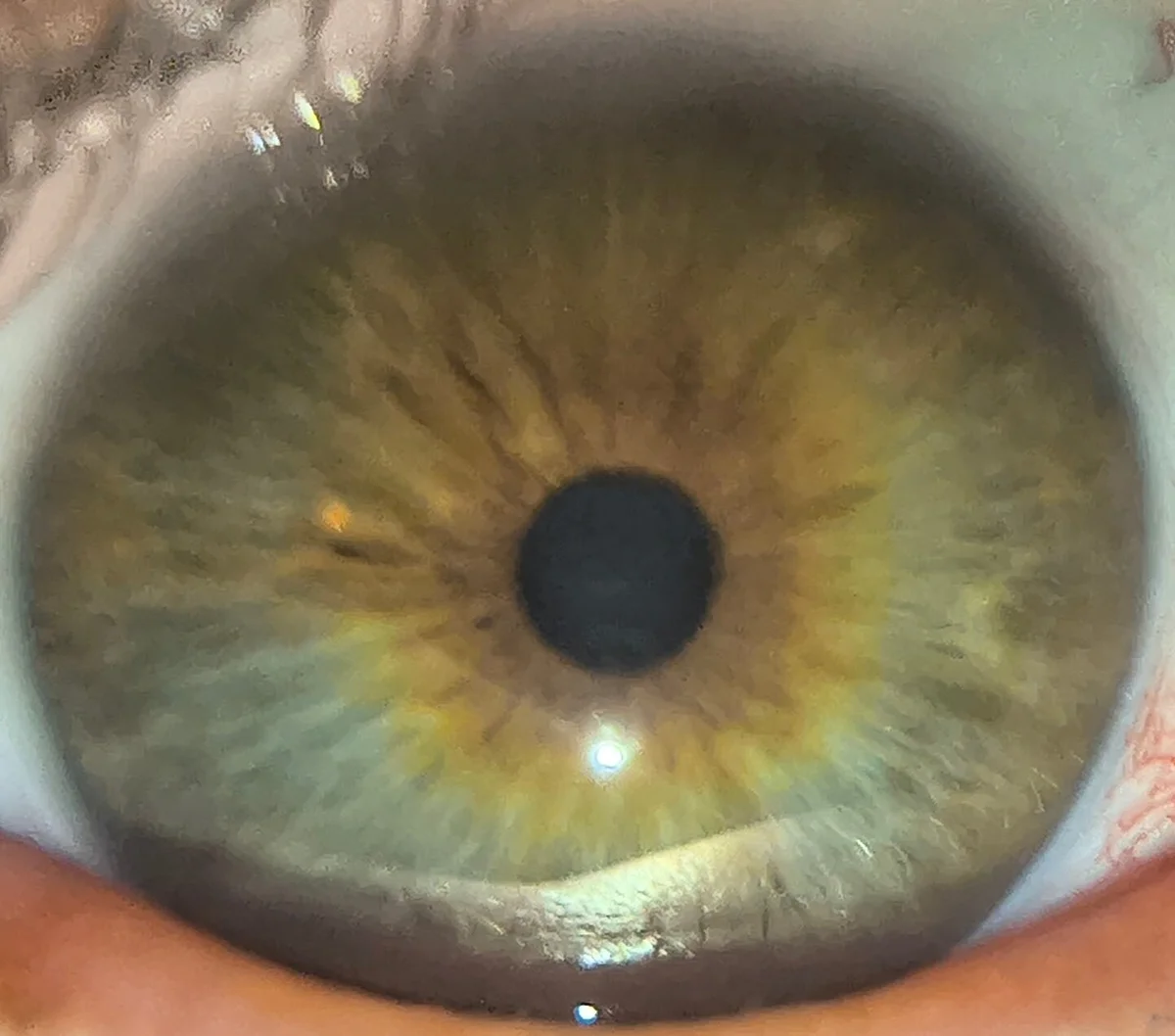 Fuckboyguyman Gambar Trending 7124