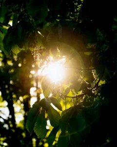 Spring 2026 de Nataly_cute  3 Imagens