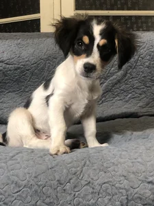 sofiah_ my loves :) Fotka 2