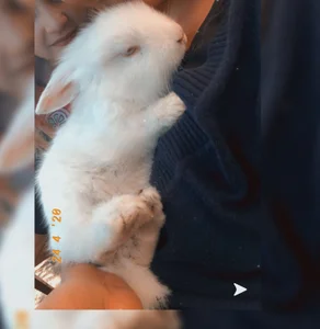 sofiah_ my loves :) Fotka 4