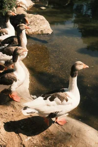 elisa_moon vacation зображення