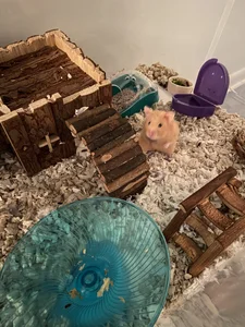 miniponygirl Public Pic 6