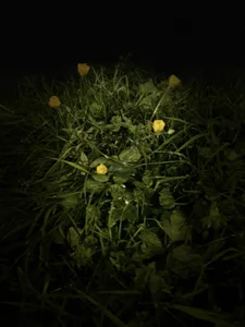 AnnJey MY HOBBY slika