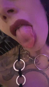 Butterflyvelvet Ultimas 사진 2