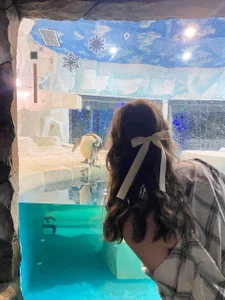 PamelaDowman's photo
