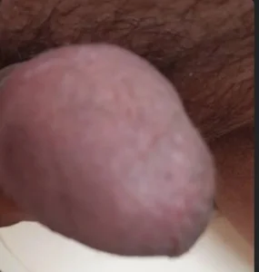 Cucco25 Public Εικόνα 9