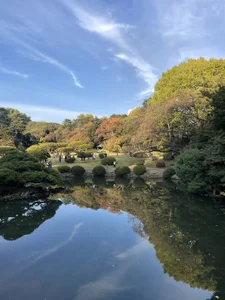 0o_MOMO_o0 もも2枚目✨ Pic