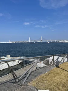 caro-caro Public Foto 4