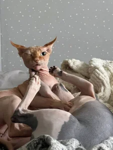 crowned_goddess evil pussies Pic