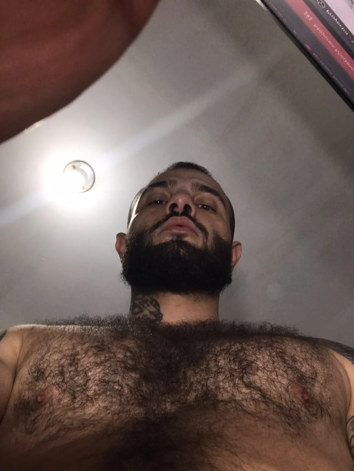Трендове зображення  2225 Adam_Maxwel