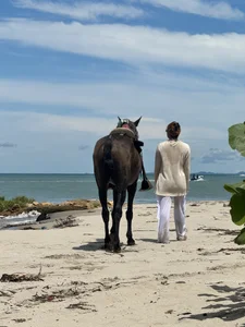 Amber_Martins_ A horse doesn't need words to understand you Bilde