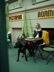AmmyShane's photo