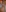 Mila_318's photo