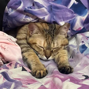 runa-chan- Public Gambar 2