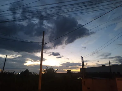 Heterobusca Public 圖片 5